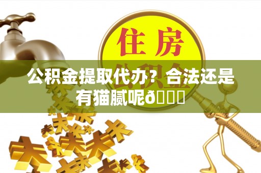富锦公积金提取代办？合法还是有猫腻呢😏
